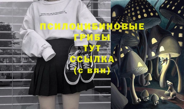 соль курить ск Алексин