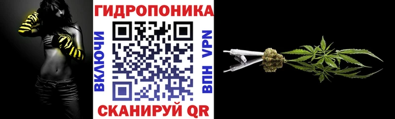 гидра сайт  Железногорск  Каннабис индика 
